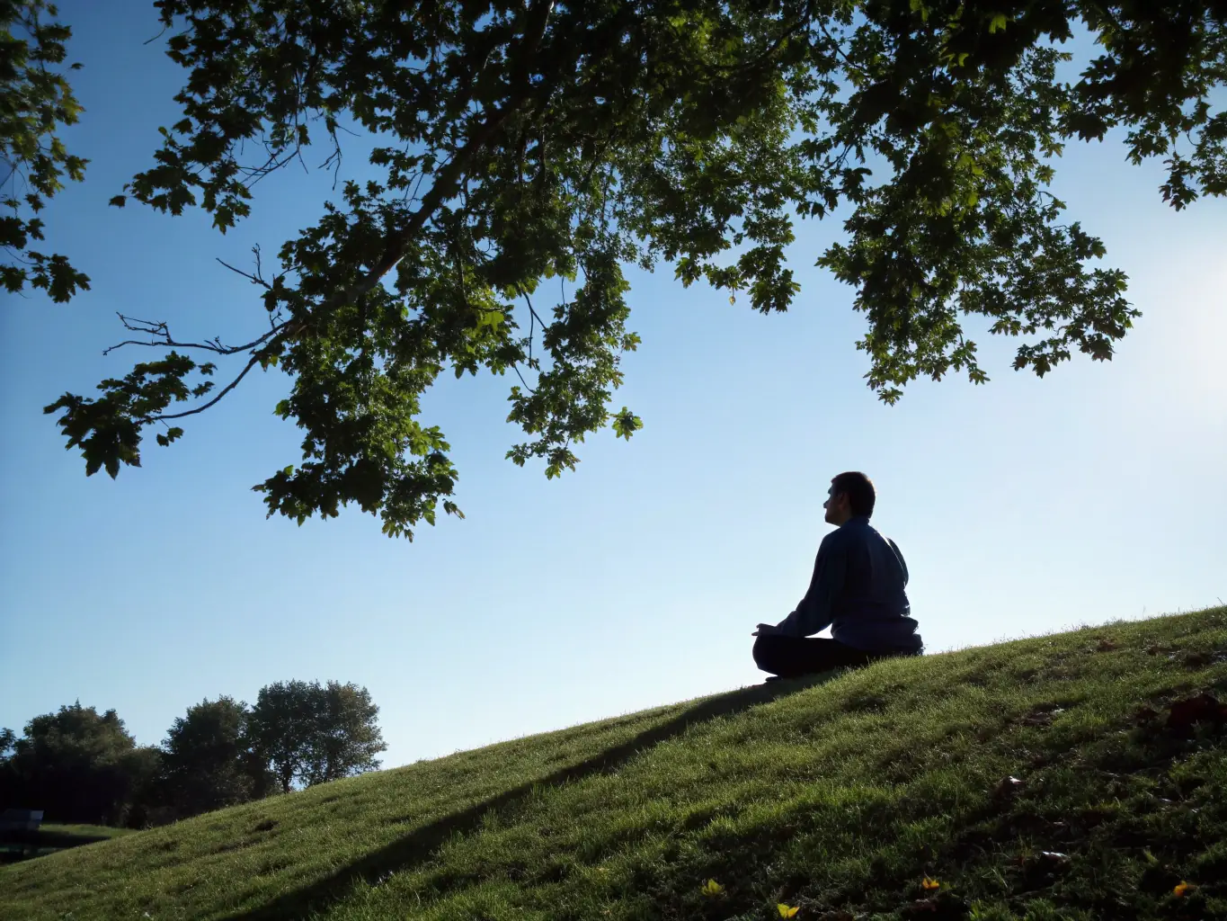 A serene image of a person meditating outdoors, symbolizing the mental wellness aspect of LifetimeDPP's personalized health programs.
